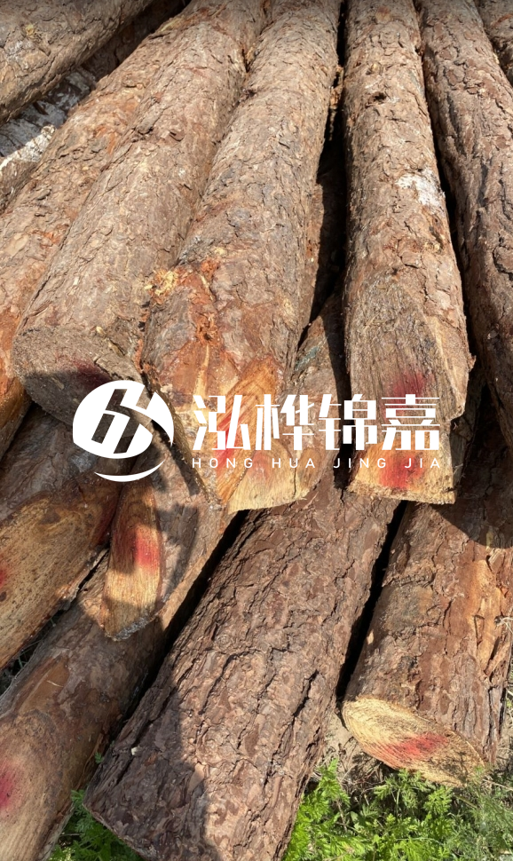 <strong>松木樁和杉木樁的用途區(qū)別？哪個更適合打樁用？</strong>