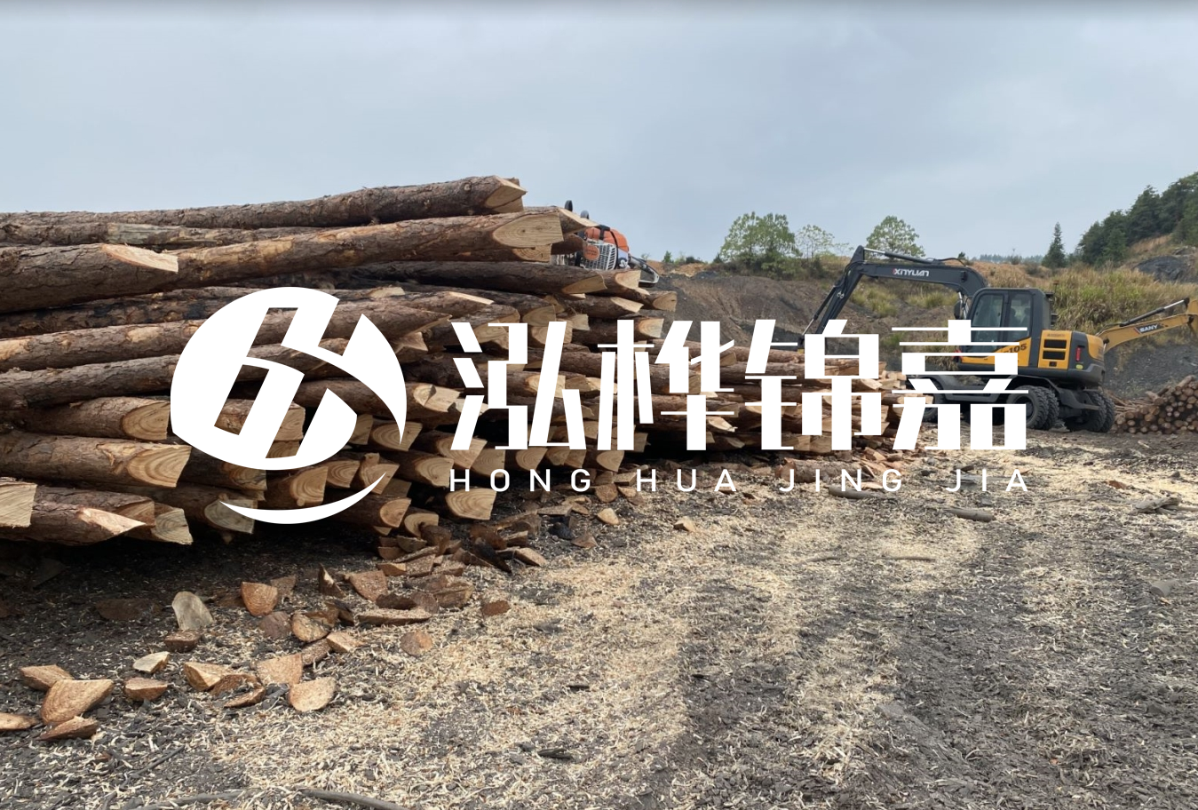 松木樁尾徑是什么意思？