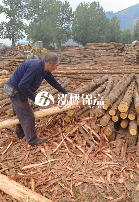 東營河道清淤專業(yè)施工隊(duì)-不同型號(hào)挖機(jī)清淤能力對(duì)比？