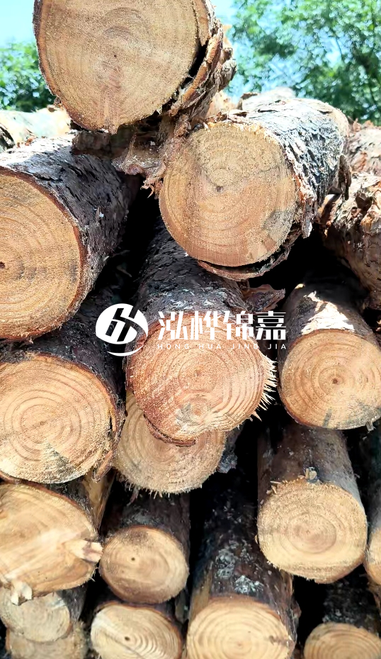 周口挖機(jī)打木樁專業(yè)施工-杉木樁施工打樁怎么打？