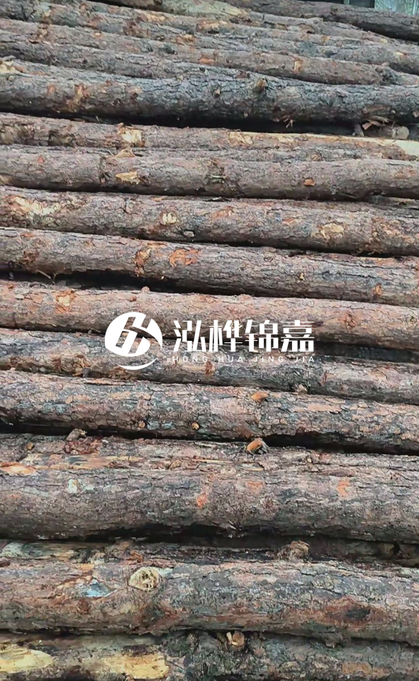 陽(yáng)江松木樁源頭廠家-哪一種打樁木最便宜？