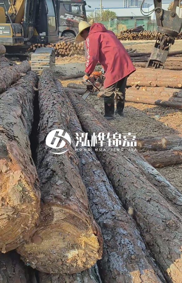 長沙打樁木批發(fā)廠家在哪里？聯(lián)系方式是什么？
