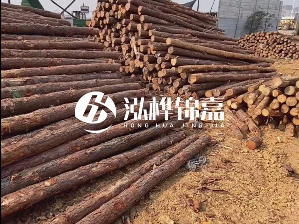 河道木樁施工遇到淤泥怎么辦？打多深才能防沖刷？