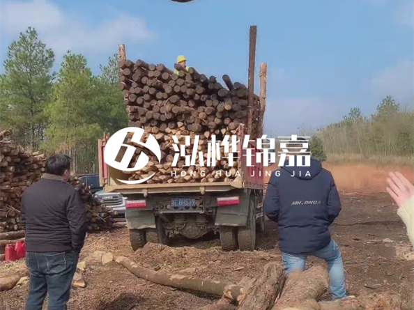 防腐木樁價(jià)格比普通木樁貴多少？防腐木樁有哪些處理方式？
