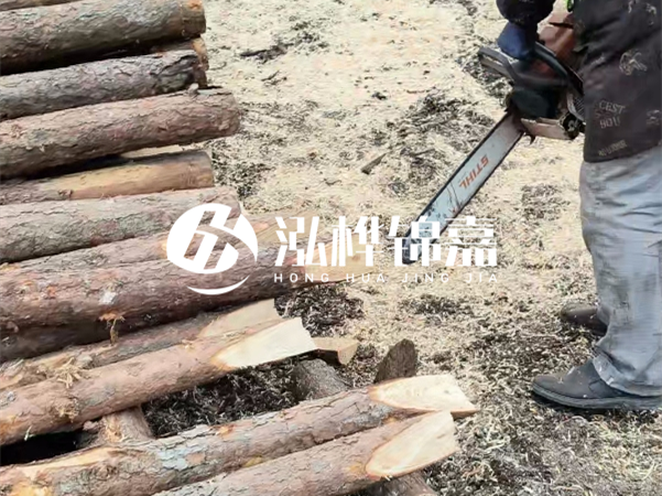 杉木樁批發(fā)廠家哪家好？產(chǎn)地直供渠道推薦！