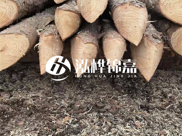 打樁木樁與鋼樁相比有哪些優(yōu)缺點(diǎn)？如何進(jìn)行后期維護(hù)？