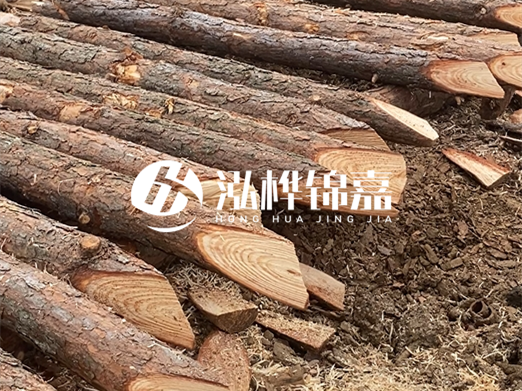 松木樁削尖的費用怎么算？按根收費還是包含在單價里？