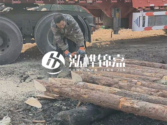 松木圓木價格大概多少一方-松木樁廠家按方可以賣嗎？