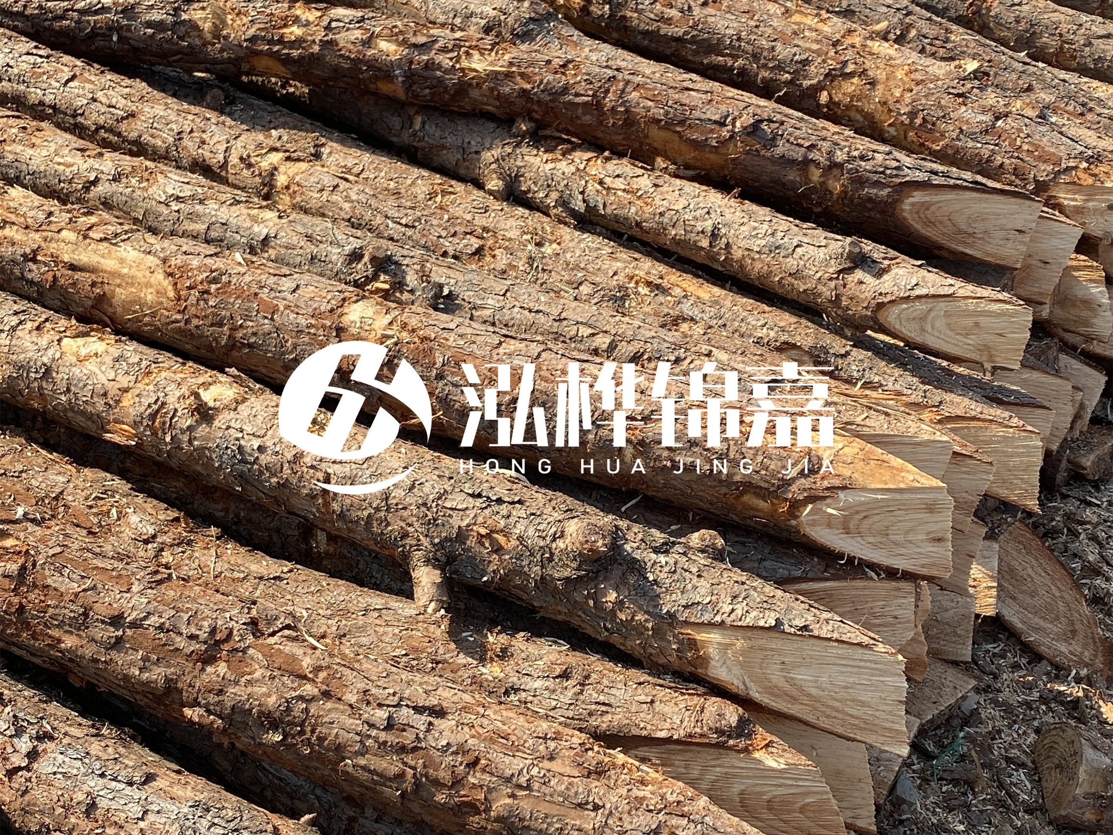8 米超大直徑松木樁的價格是多少？帶皮和去皮松木樁價格差多少？