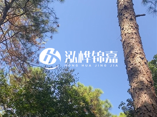 松木樁廠家的供貨能力強不強-怎么才能聯(lián)系到松木樁廠家？