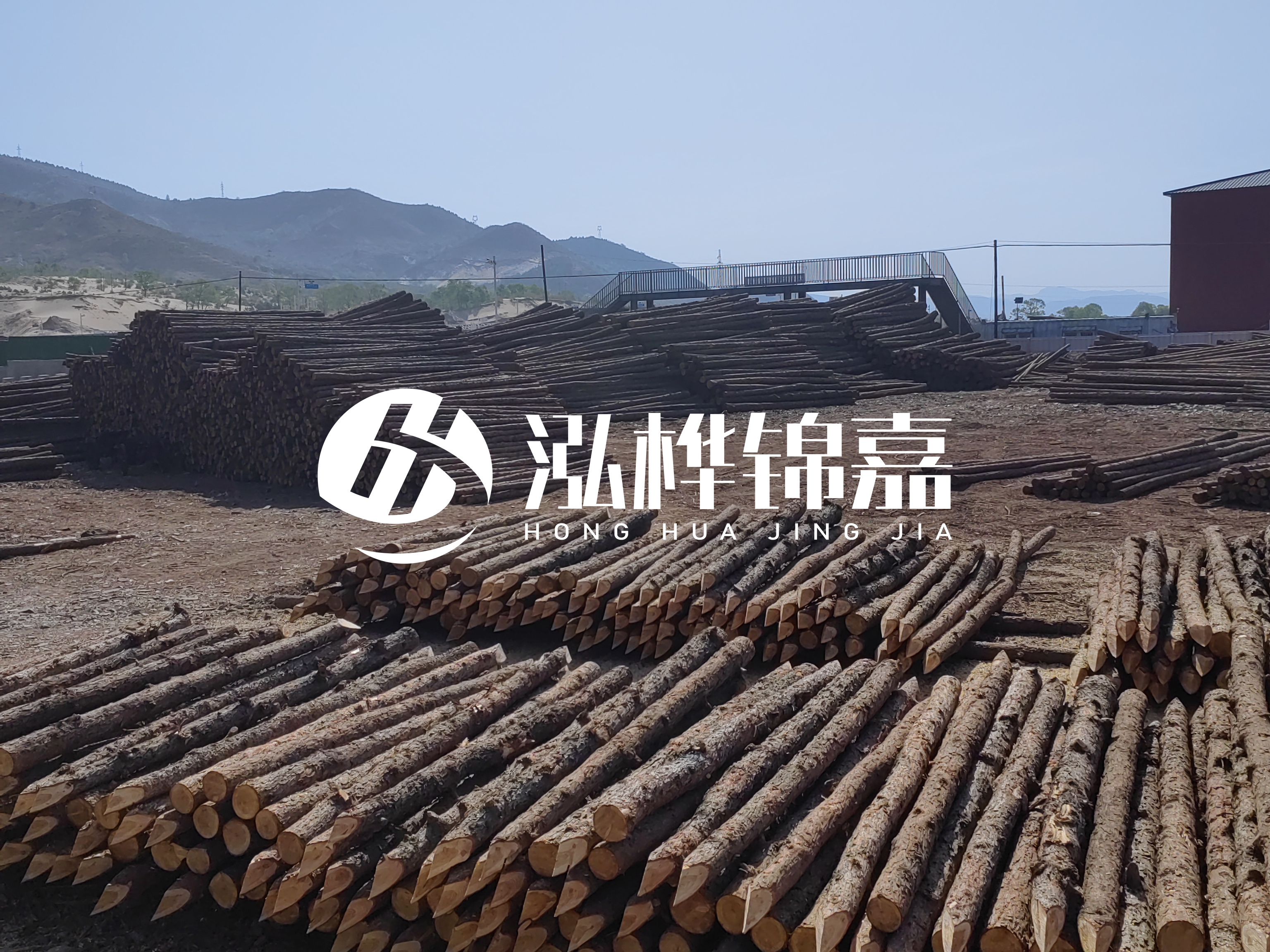 江蘇打樁木源頭廠家泓樺錦嘉-4米打樁木大頭14-16小頭一般多少？