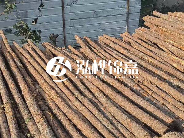 松木樁打樁后清淤怎么處理？有沒有全包的公司？