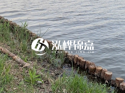 防洪松木樁施工重要性？河道打木樁的位置怎么確定？