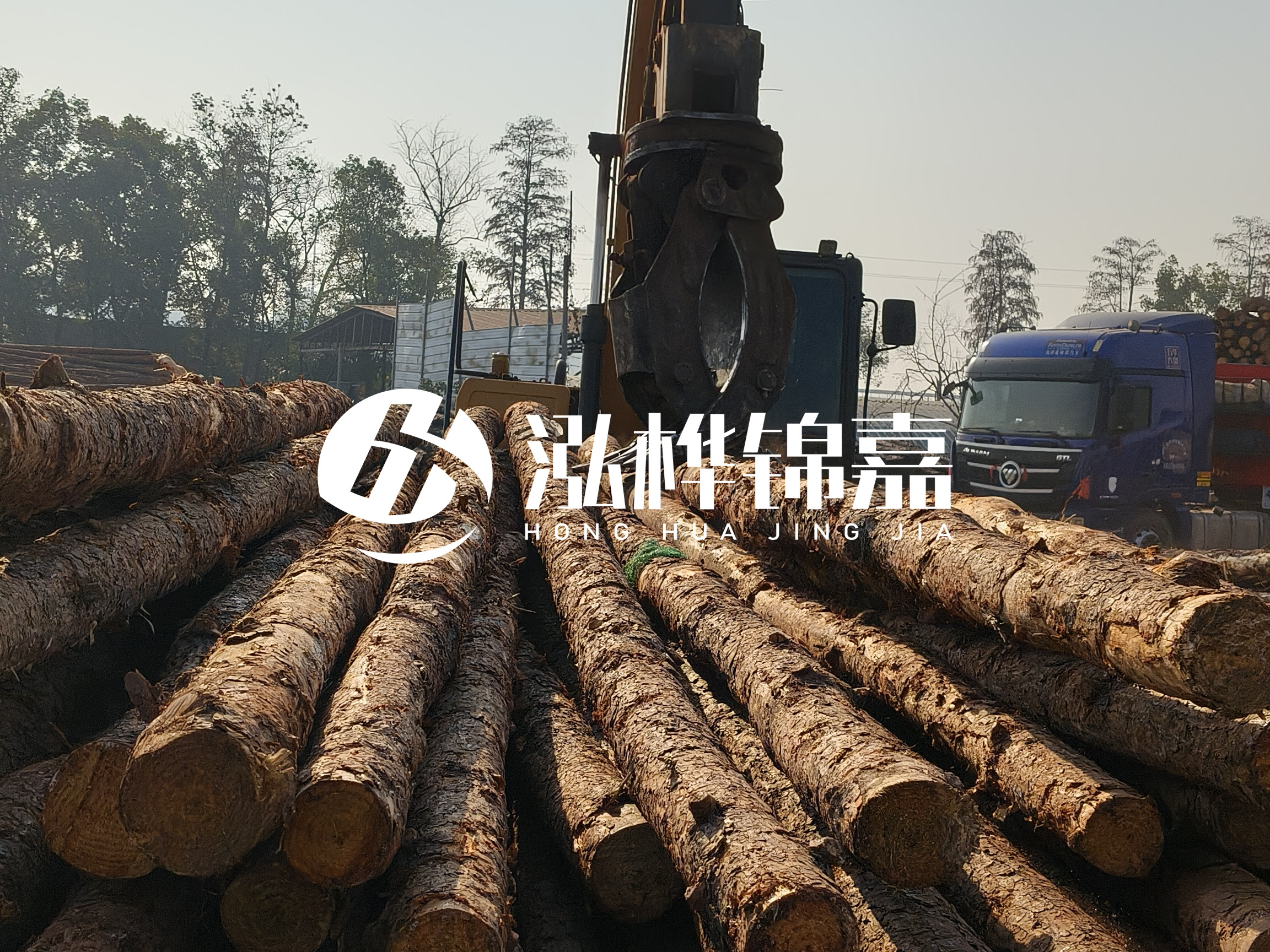 松木樁可以用來做什么？常用于哪些工程？