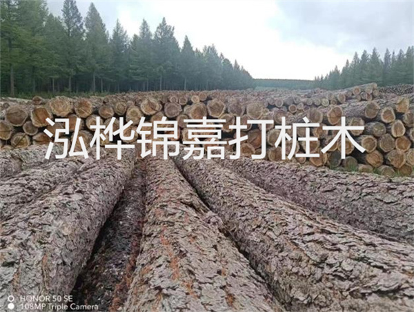 高效施工，圓松木樁助力建筑工程進(jìn)展順利