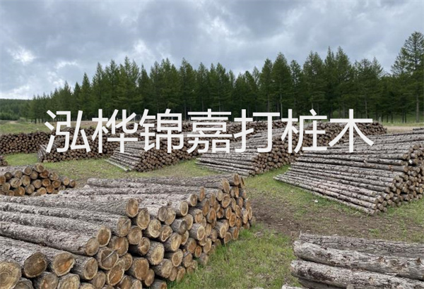 預(yù)制松木樁施工工藝：優(yōu)質(zhì)材料，高效快速，堅固耐用