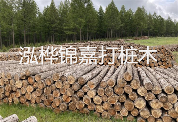 松木樁能施工嗎？探究視頻揭秘真相！