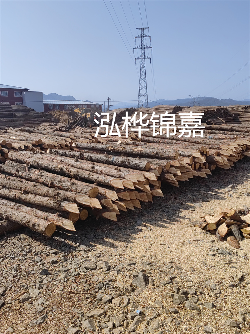 深入了解松木樁基礎(chǔ)施工單價(jià)，助力工程建設(shè)順利進(jìn)行！