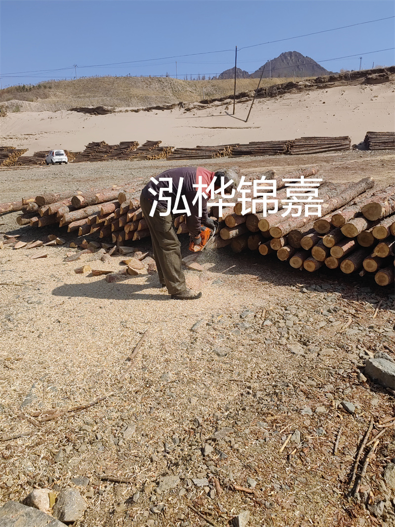 松木樁駁岸施工，打造水上風(fēng)景線