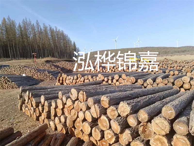 用路基松木樁施工方案提升工程質(zhì)量描述：了解路基松木樁施工方案的重要性，提高工程質(zhì)量關(guān)鍵詞：路基松木樁，施工方案，工程質(zhì)量