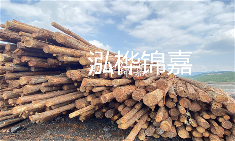 濮陽松木樁，卓越品質(zhì)，安全可靠